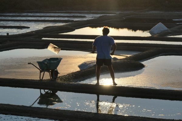 marais salants à guérande près du camping de pont mahé